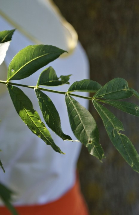 blousedressingchic3b