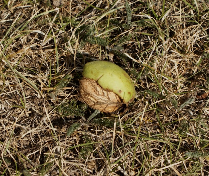 15 petits bonheurs simples d'automne - Laissons Lucie Faire