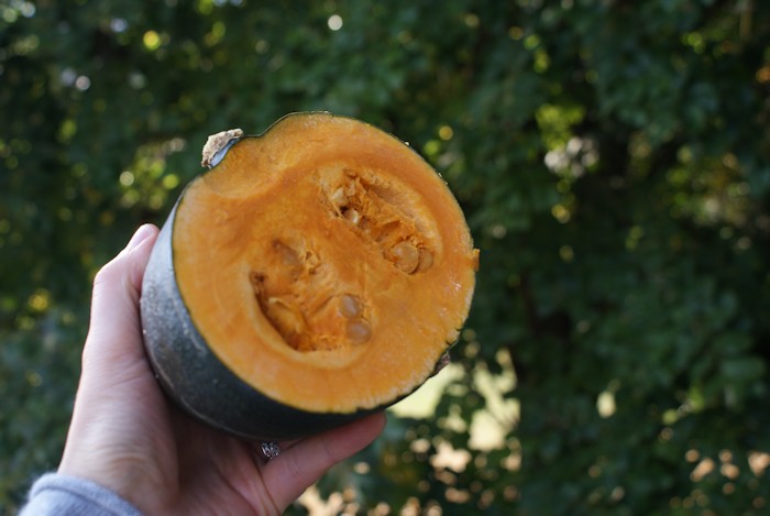 15 petits bonheurs simples d'automne - Laissons Lucie Faire