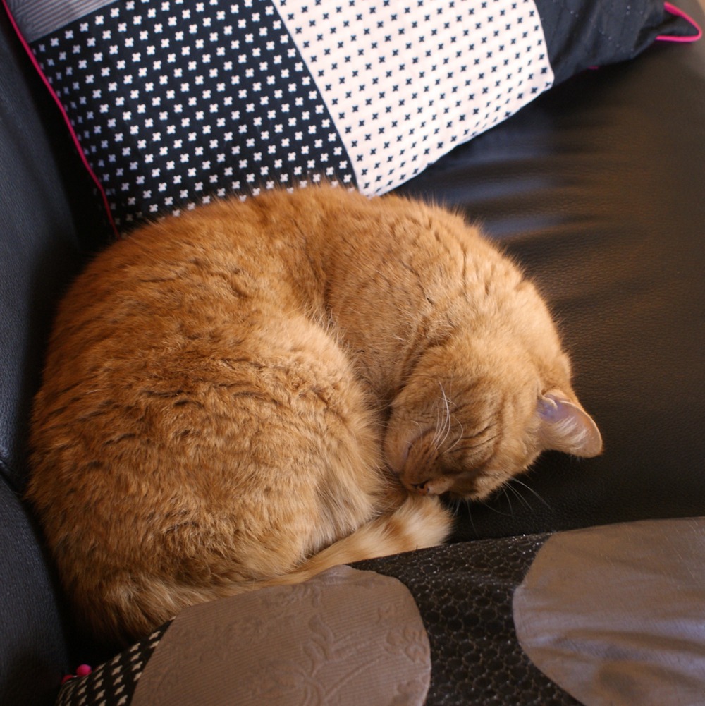 Housses de coussin patchwork par Laissons Lucie Faire (tuto gratuit)