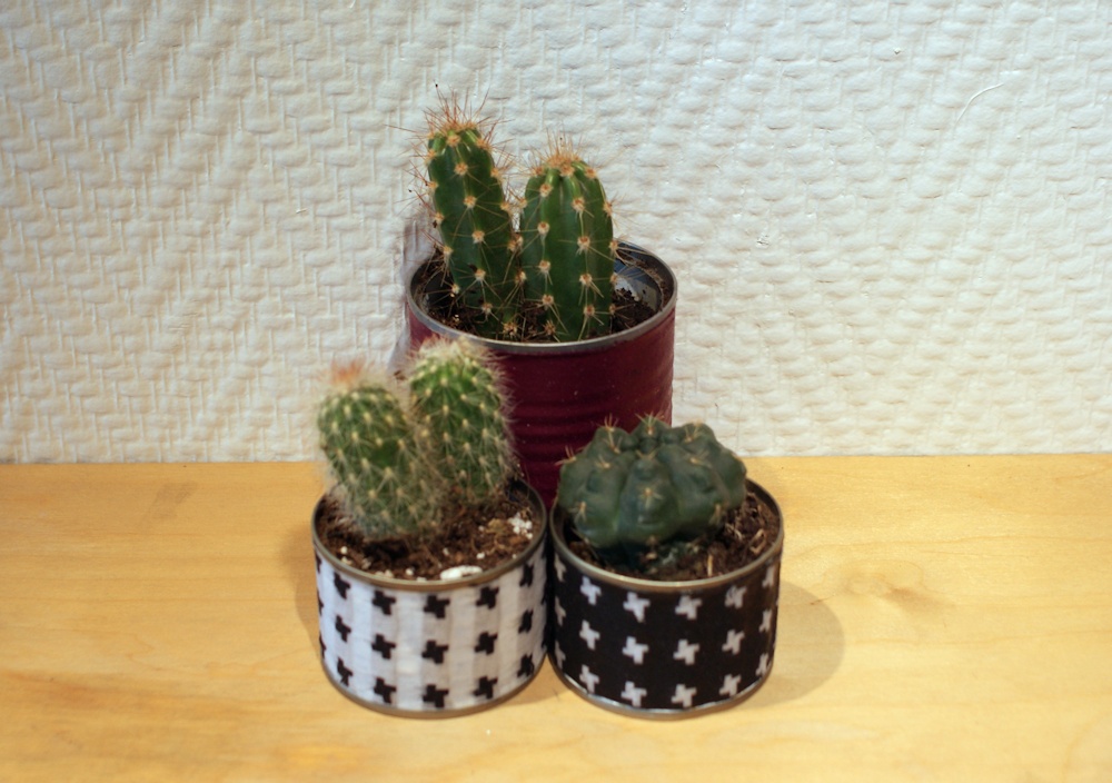 DIY - Jardinière pour succulentes en matériaux de récup