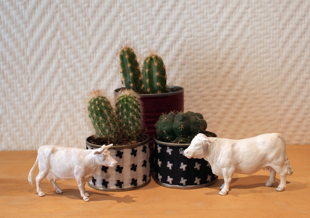 DIY - Jardinière pour succulentes en matériaux de récup